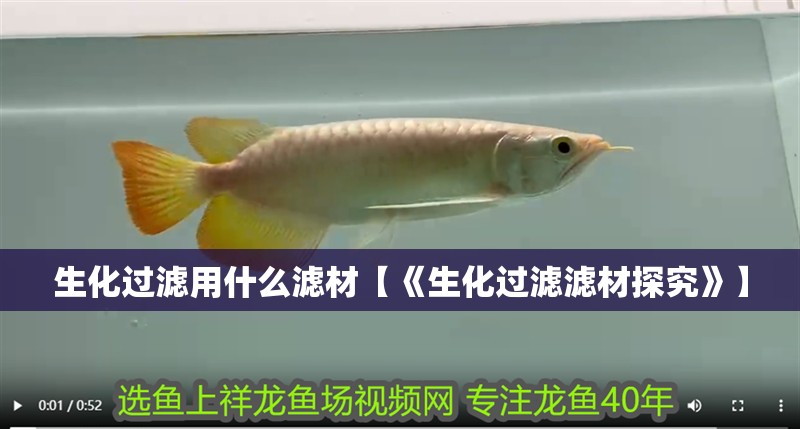 生化過(guò)濾用什么濾材【《生化過(guò)濾濾材探究》】