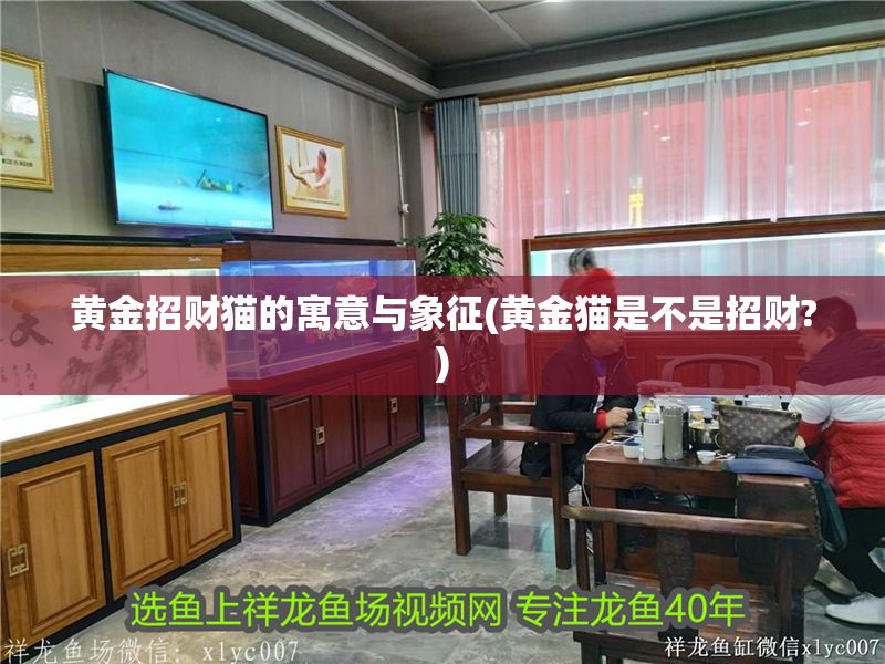黃金招財貓的寓意與象征(黃金貓是不是招財?)