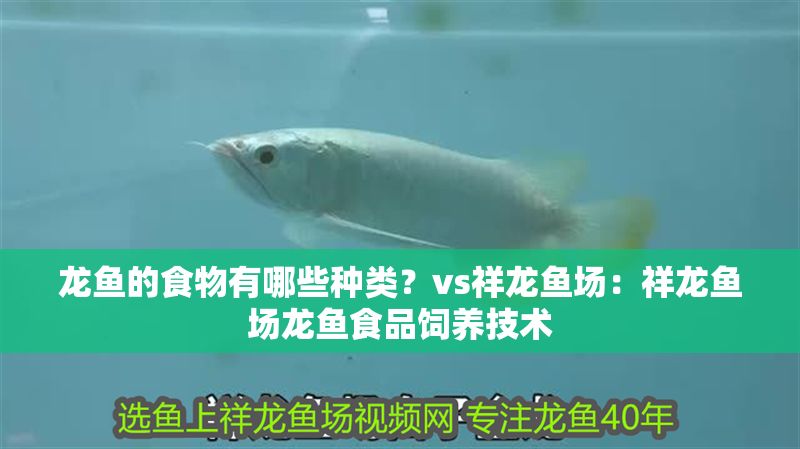 龍魚的食物有哪些種類？vs祥龍魚場：祥龍魚場龍魚食品飼養技術