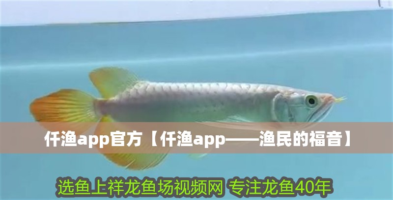 仟漁app官方【仟漁app——漁民的福音】