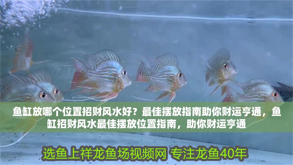 魚缸放哪個位置招財風水好？最佳擺放指南助你財運亨通，魚缸招財風水最佳擺放位置指南，助你財運亨通