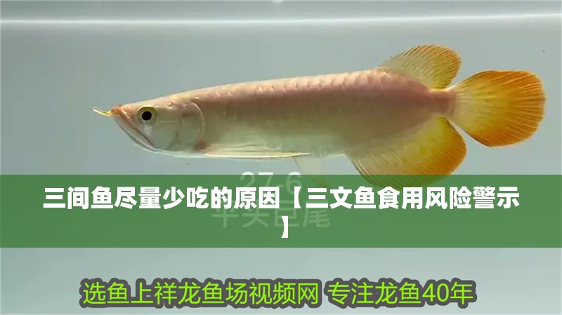 三間魚盡量少吃的原因【三文魚食用風(fēng)險(xiǎn)警示】