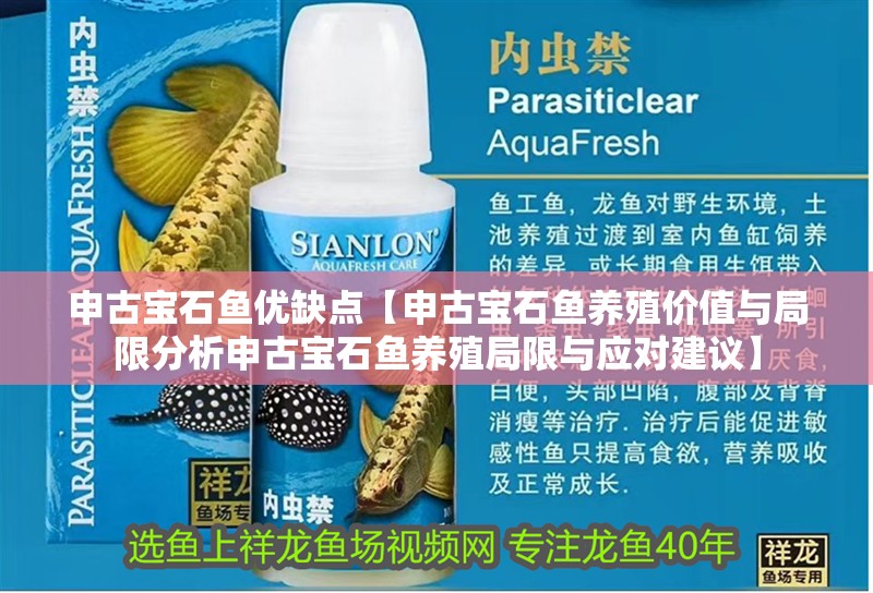 申古寶石魚優缺點【申古寶石魚養殖價值與局限分析申古寶石魚養殖局限與應對建議】