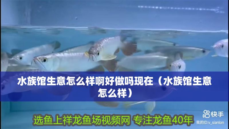 水族館生意怎么樣啊好做嗎現在（水族館生意怎么樣）