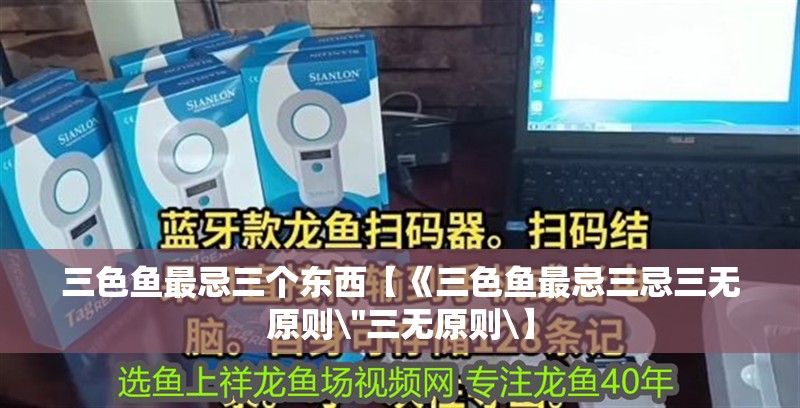 三色魚最忌三個東西【《三色魚最忌三忌三無原則\