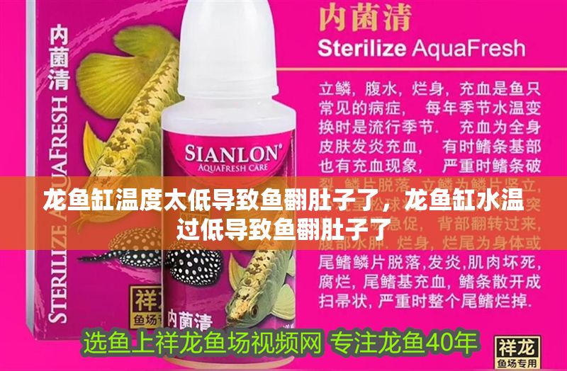 龍魚(yú)缸溫度太低導(dǎo)致魚(yú)翻肚子了，龍魚(yú)缸水溫過(guò)低導(dǎo)致魚(yú)翻肚子了