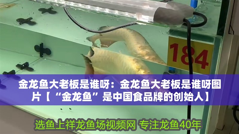 金龍魚大老板是誰呀：金龍魚大老板是誰呀圖片【“金龍魚”是中國食品牌的創始人】