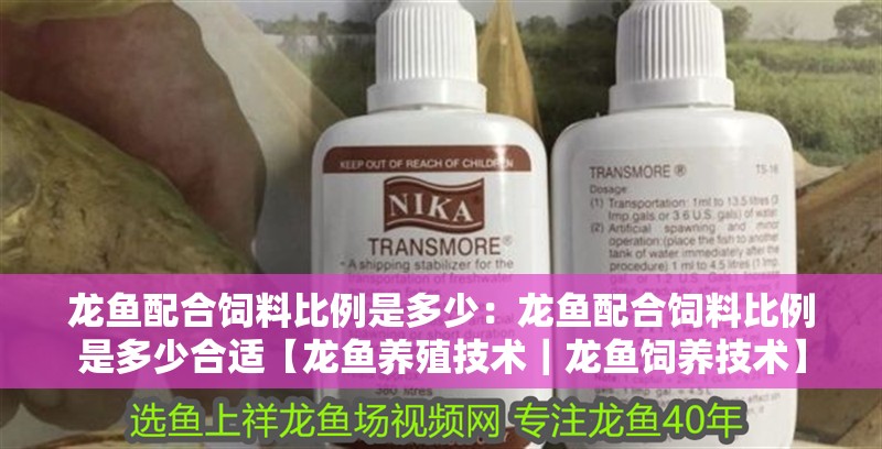 龍魚配合飼料比例是多少：龍魚配合飼料比例是多少合適【龍魚養(yǎng)殖技術｜龍魚飼養(yǎng)技術】