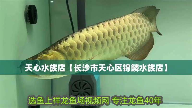 天心水族店【長沙市天心區錦鱗水族店】