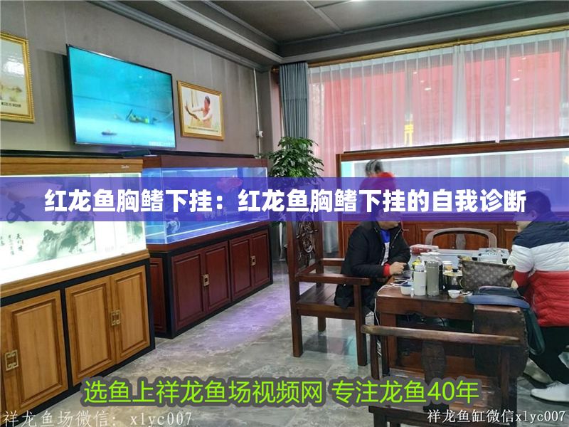紅龍魚胸鰭下掛：紅龍魚胸鰭下掛的自我診斷