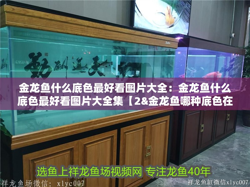 金龍魚什么底色最好看圖片大全：金龍魚什么底色最好看圖片大全集【2&金龍魚哪種底色在燈光下呈現(xiàn)出獨(dú)特的視覺效果】