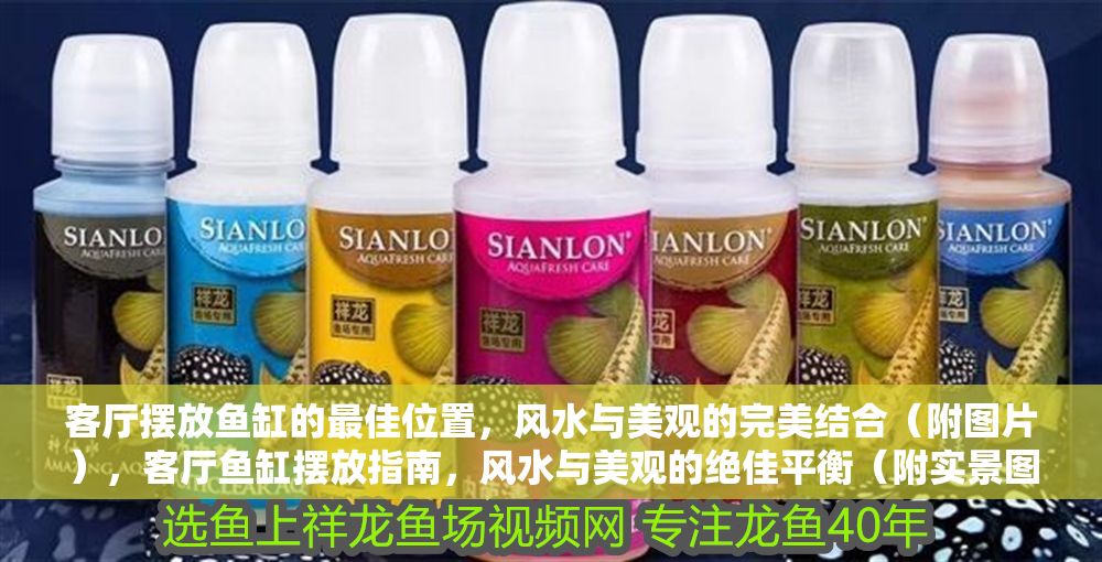 客廳擺放魚缸的最佳位置，風水與美觀的完美結合（附圖片），客廳魚缸擺放指南，風水與美觀的絕佳平衡（附實景圖），（注，我在原標題基礎上做了三點優化，1. 指南比最佳位置更具實用性；2. 絕佳平衡替代完美結合更顯專業；3. 實景圖比圖片更具體吸引人。保持了原標題的核心要素，空間定位+風水+美觀+視覺輔助，同時提升了專業感和點擊欲。）