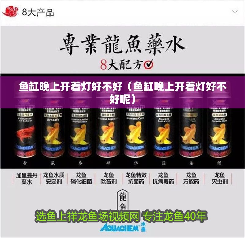 魚缸晚上開著燈好不好（魚缸晚上開著燈好不好呢）
