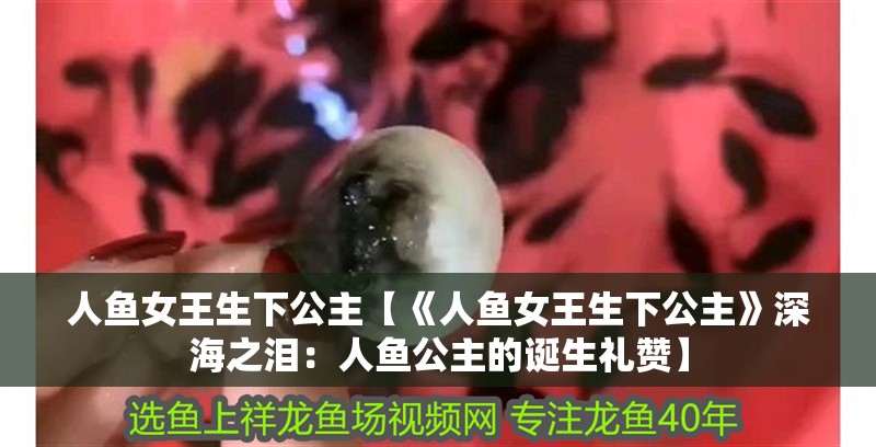 人魚女王生下公主【《人魚女王生下公主》深海之淚：人魚公主的誕生禮贊】