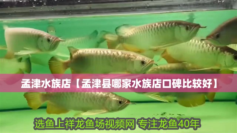 孟津水族店【孟津縣哪家水族店口碑比較好】
