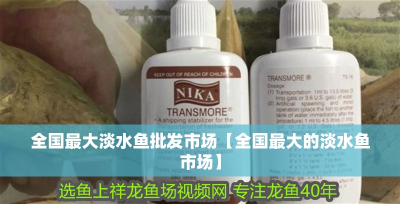全國最大淡水魚批發市場【全國最大的淡水魚市場】