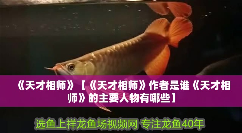 《天才相師》【《天才相師》作者是誰《天才相師》的主要人物有哪些】