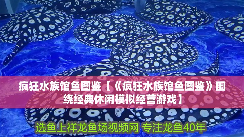 瘋狂水族館魚圖鑒【《瘋狂水族館魚圖鑒》圍繞經典休閑模擬經營游戲】