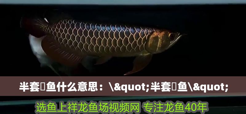 半套魟魚什么意思：\"半套魟魚\"