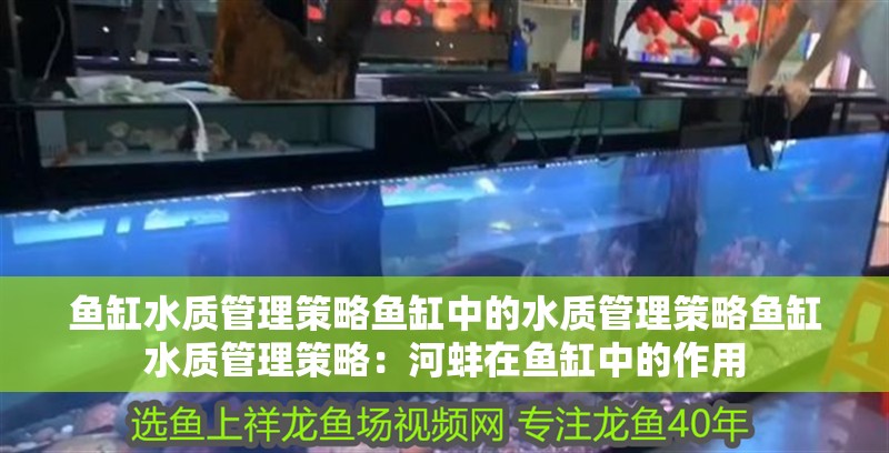 魚缸水質管理策略魚缸中的水質管理策略魚缸水質管理策略：河蚌在魚缸中的作用