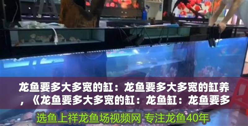 龍魚要多大多寬的缸：龍魚要多大多寬的缸養，《龍魚要多大多寬的缸：龍魚缸：龍魚要多大多寬的缸養》