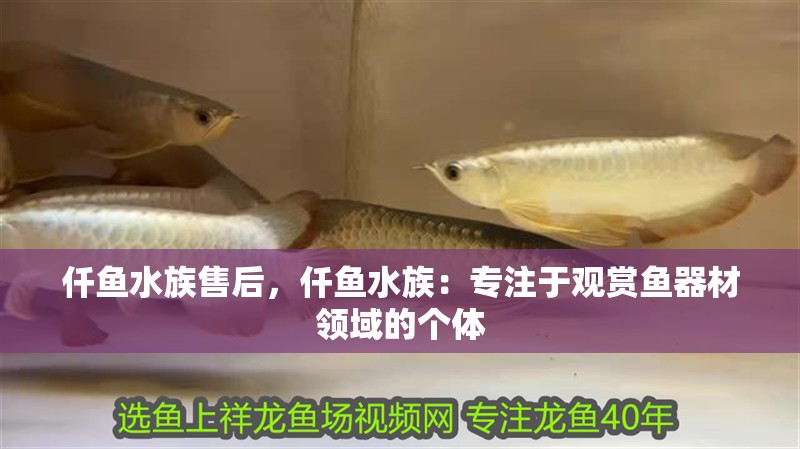 仟魚水族售后，仟魚水族：專注于觀賞魚器材領域的個體