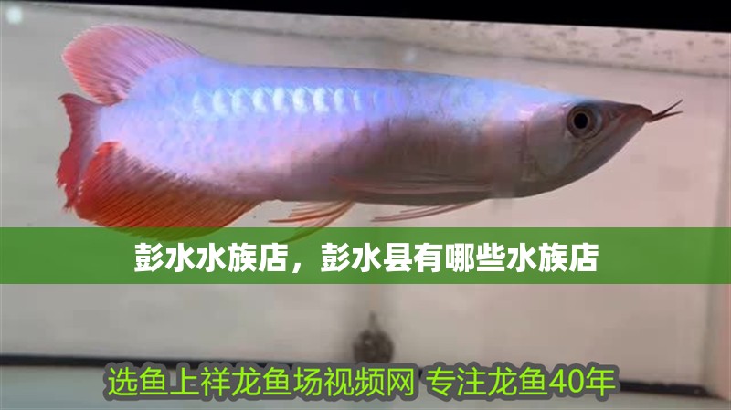 彭水水族店，彭水縣有哪些水族店 彭水水族店，彭水縣有哪些水族店 全國水族館企業名錄
