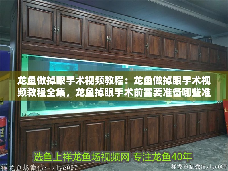 龍魚做掉眼手術視頻教程：龍魚做掉眼手術視頻教程全集，龍魚掉眼手術前需要準備哪些準備工作，龍魚掉眼手術前需要準備