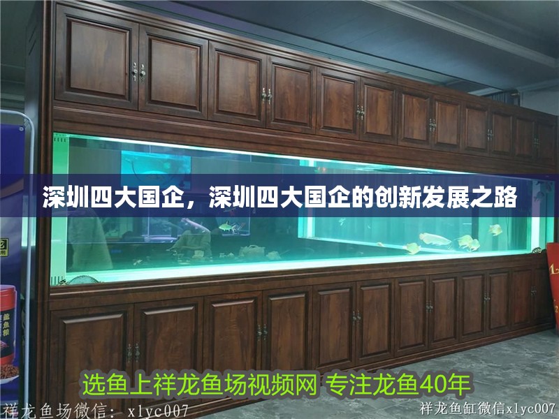 深圳四大國企，深圳四大國企的創新發展之路
