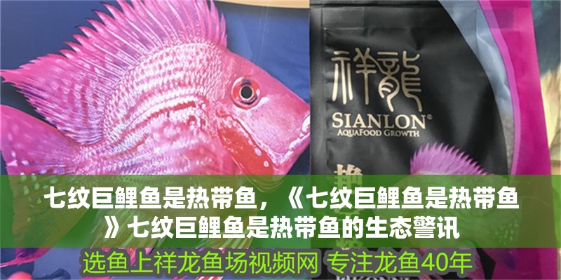 七紋巨鯉魚是熱帶魚，《七紋巨鯉魚是熱帶魚》七紋巨鯉魚是熱帶魚的生態警訊