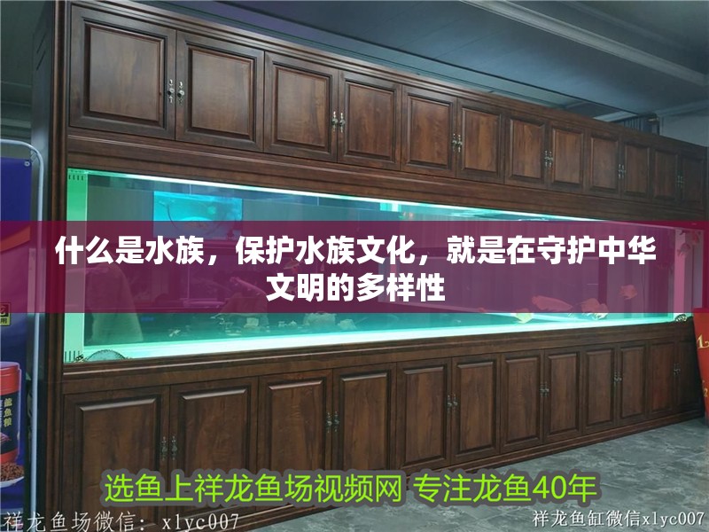 什么是水族，保護水族文化，就是在守護中華文明的多樣性