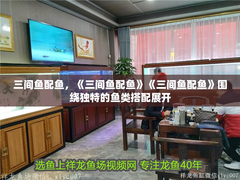 三間魚配魚，《三間魚配魚》《三間魚配魚》圍繞獨特的魚類搭配展開