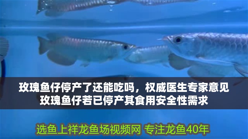 玫瑰魚(yú)仔停產(chǎn)了還能吃嗎，權(quán)威醫(yī)生專家意見(jiàn)玫瑰魚(yú)仔若已停產(chǎn)其食用安全性需求