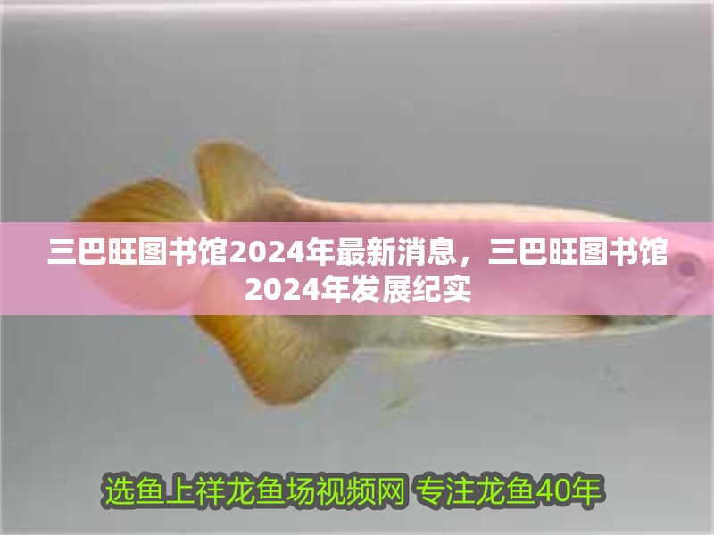三巴旺圖書館2024年最新消息，三巴旺圖書館2024年發展紀實