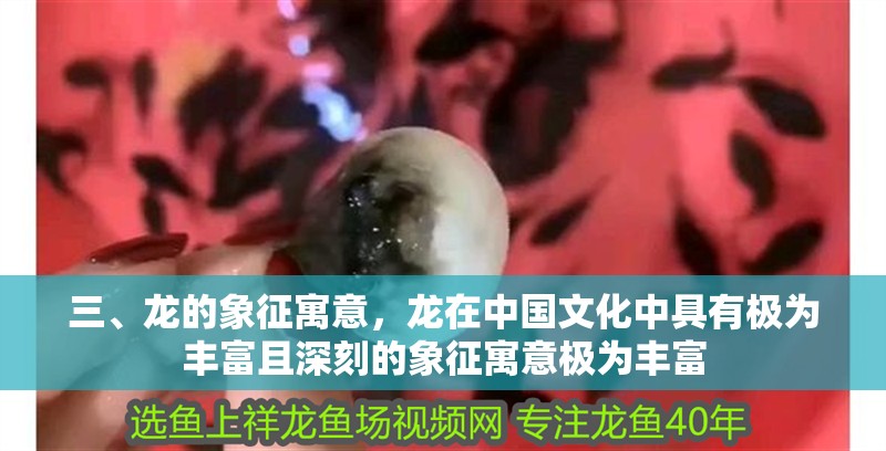 三、龍的象征寓意，龍在中國文化中具有極為豐富且深刻的象征寓意極為豐富