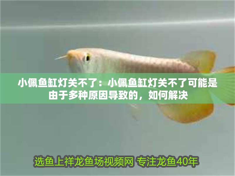 小佩魚缸燈關(guān)不了：小佩魚缸燈關(guān)不了可能是由于多種原因?qū)е碌模绾谓鉀Q