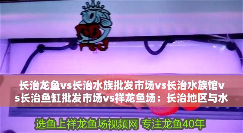 長治龍魚vs長治水族批發市場vs長治水族館vs長治魚缸批發市場vs祥龍魚場：長治地區與水族產業相關的幾個關鍵場所
