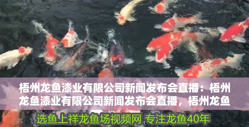 梧州龍魚漆業(yè)有限公司新聞發(fā)布會(huì)直播：梧州龍魚漆業(yè)有限公司新聞發(fā)布會(huì)直播，梧州龍魚漆業(yè)新聞發(fā)布會(huì)