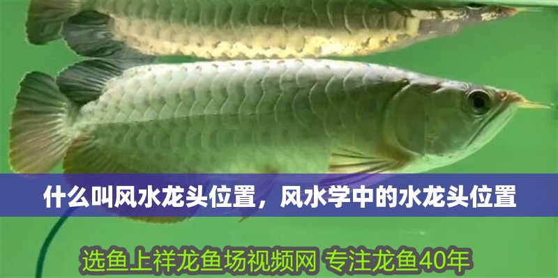 什么叫風水龍頭位置，風水學中的水龍頭位置