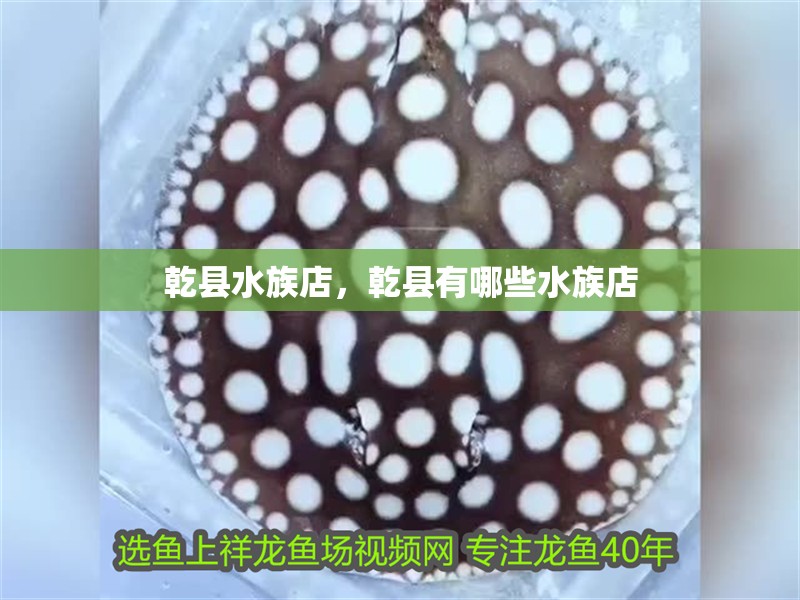 乾縣水族店，乾縣有哪些水族店