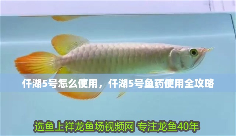 仟湖5號(hào)怎么使用，仟湖5號(hào)魚藥使用全攻略
