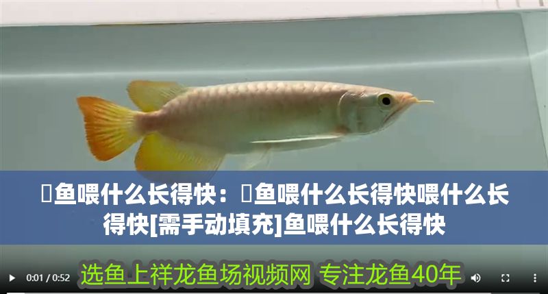 魟魚喂什么長得快：魟魚喂什么長得快喂什么長得快[需手動填充]魚喂什么長得快