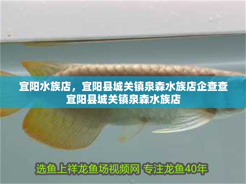 宜陽水族店，宜陽縣城關鎮泉森水族店企查查宜陽縣城關鎮泉森水族店
