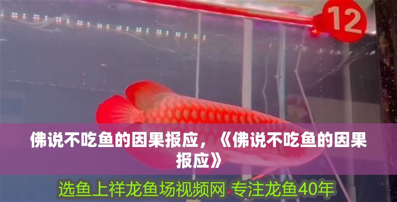 佛說不吃魚的因果報應，《佛說不吃魚的因果報應》