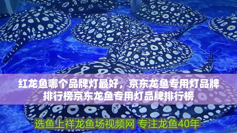 紅龍魚哪個品牌燈最好，京東龍魚專用燈品牌排行榜京東龍魚專用燈品牌排行榜