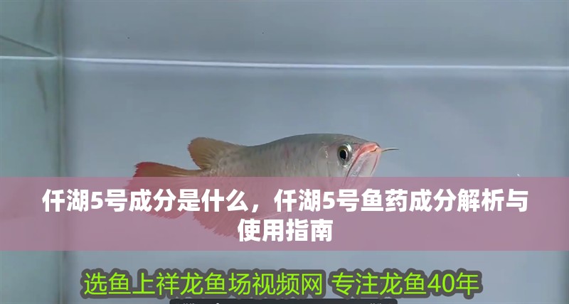 仟湖5號成分是什么，仟湖5號魚藥成分解析與使用指南