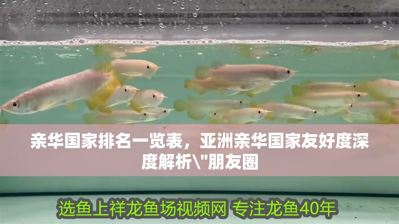 親華國(guó)家排名一覽表，亞洲親華國(guó)家友好度深度解析\