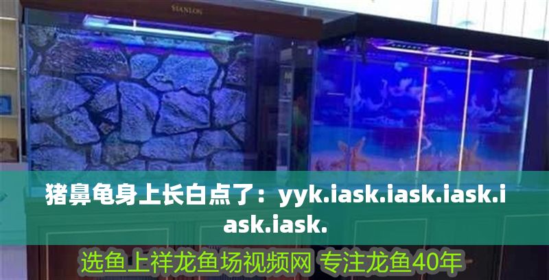 豬鼻龜身上長白點了：yyk.iask.iask.iask.iask.iask.