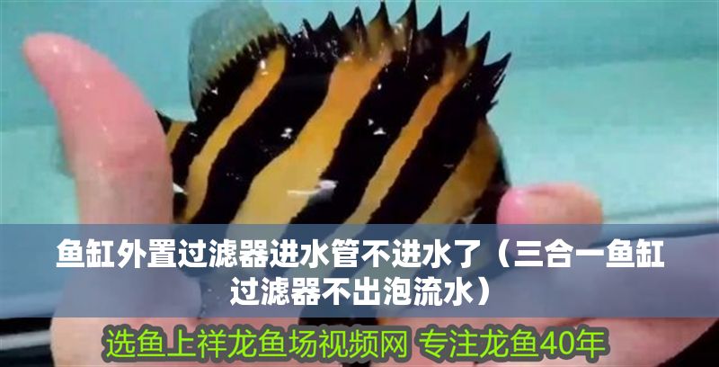 魚(yú)缸外置過(guò)濾器進(jìn)水管不進(jìn)水了（三合一魚(yú)缸過(guò)濾器不出泡流水）