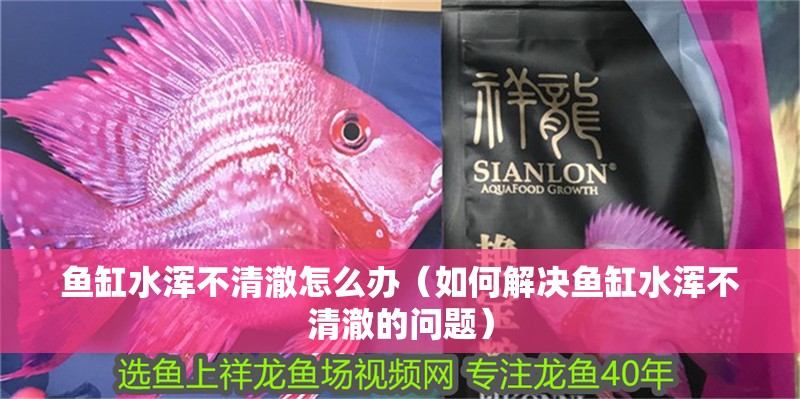 魚缸水渾不清澈怎么辦（如何解決魚缸水渾不清澈的問題）
